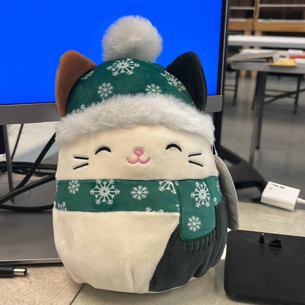 Cam the Cat 🐱 Squishmallow 7 in